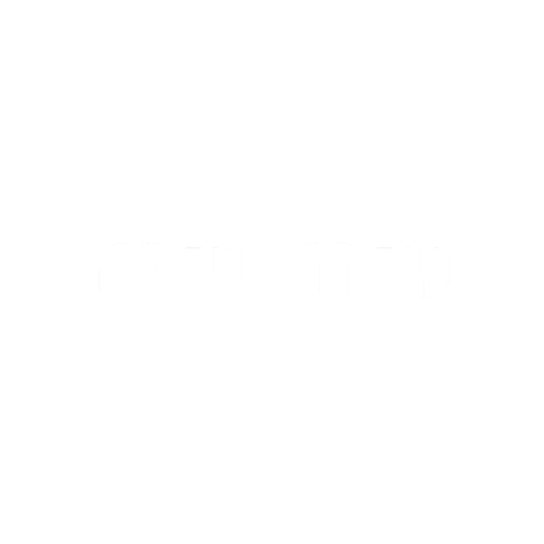 Logo miu miu sans fond_
